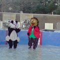 Ice Rink